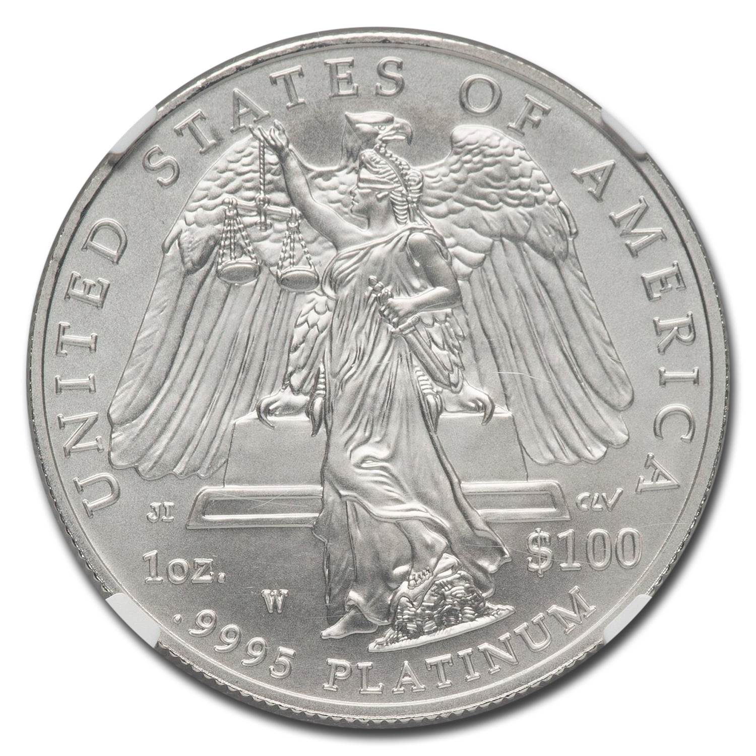 Buy 2008-W 1 oz Burnished American Platinum Eagle MS/SP-70 NGC | APMEX