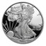 2008-W 1 oz Proof American Silver Eagle (w/Box & COA)