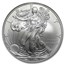 2008-W Burnished American Silver Eagle MS-69 NGC (ER, Rev '07)