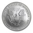 2008-W Burnished American Silver Eagle MS-69 NGC (ER, Rev '07)
