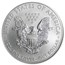 2008-W Burnished American Silver Eagle MS-69 NGC (ER)