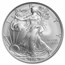 2008-W Burnished American Silver Eagle MS-69 NGC