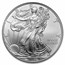 2008-W Burnished American Silver Eagle MS-70 NGC (ER)