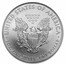 2008-W Burnished American Silver Eagle MS-70 NGC (ER)