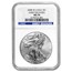 2008-W Burnished American Silver Eagle MS-70 NGC (ER)