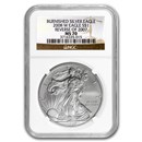 2008-W Burnished American Silver Eagle MS-70 NGC (Rev '07)