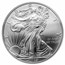 2008-W Burnished American Silver Eagle MS-70 NGC