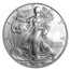 2008-W Burnished American Silver Eagle SP-70 PCGS (Rev '07)