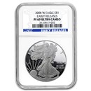 2008-W Proof American Silver Eagle PF-69 NGC (ER)