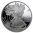 2008-W Proof American Silver Eagle PF-70 NGC (ER)