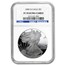 2008-W Proof American Silver Eagle PF-70 NGC (ER)