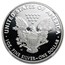 2008-W Proof American Silver Eagle PF-70 NGC