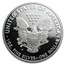 2008-W Proof American Silver Eagle PR-69 PCGS