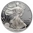 2008-W Proof American Silver Eagle PR-70 PCGS