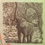 2008 Zimbabwe 50 Trillion Dollars Rock Formation Dam Elephant Unc