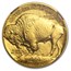 2009 1 oz Gold Buffalo MS-69 NGC (Early Releases)