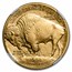 2009 1 oz Gold Buffalo MS-70 NGC (Early Releases)
