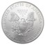 2009 American Silver Eagle MS-70 NGC (Early Releases)
