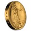 2009 Ultra High Relief Double Eagle (Capsule Only)