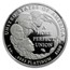 2009-W 1 oz Proof American Platinum Eagle PF-70 UCAM NGC