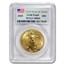 2010 1 oz American Gold Eagle MS-69 PCGS (25th Year of Issue)