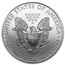 2010 1 oz American Silver Eagle (MintDirect® Single)