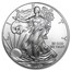 2010 1 oz American Silver Eagle (MintDirect® Single)