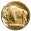 2010 1 oz Gold Buffalo MS-70 NGC (Early Releases)