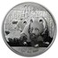 2010 1 oz Silver Chinese Panda (Spotted, Abrasions)