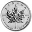2010 Canada 1 oz Platinum Maple Leaf BU