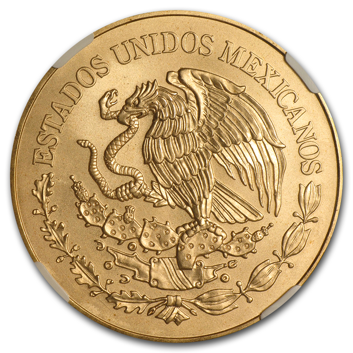 Buy 2010 Mexican Gold 200 Pesos Bicentenary MS-69 NGC | APMEX