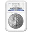 2010 Silver Eagle MS-70 NGC (ER, 25th Anniversary, Blue Label)