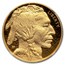 2010-W 1 oz Proof Gold Buffalo PF-70 NGC (Castle)