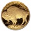 2010-W 1 oz Proof Gold Buffalo PF-70 NGC (Castle)