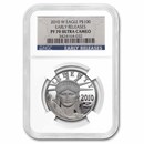 2010-W 1 oz Proof Platinum Eagle PF-70 UCAM NGC (Early Releases)