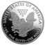 2010-W Proof American Silver Eagle PF-69 NGC (ER)