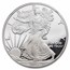2010-W Proof American Silver Eagle PF-70 NGC (ER, 25th Anniv)