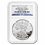 2010-W Proof American Silver Eagle PF-70 NGC (ER, 25th Anniv)