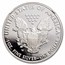2010-W Proof American Silver Eagle PF-70 NGC (ER, Black Label)