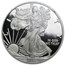 2010-W Proof American Silver Eagle PF-70 NGC (ER)