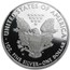 2010-W Proof American Silver Eagle PF-70 NGC (ER)