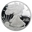 2010-W Proof American Silver Eagle PF-70 NGC (Retro Black Insert)