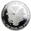 2010-W Proof American Silver Eagle PF-70 NGC (Retro Black Insert)
