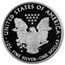 2010-W Proof American Silver Eagle PR-69 PCGS