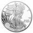 2010-W Proof American Silver Eagle PR-69 PCGS