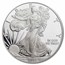 2010-W Proof American Silver Eagle PR-70 PCGS (FS)