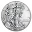 2011 1 oz American Silver Eagle (MintDirect® Single)