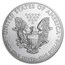 2011 1 oz American Silver Eagles (20-Coin MintDirect® Tube)