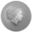 2011 Australia 10 oz Silver Year of the Rabbit BU