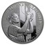 2011-P 9/11 National Medal Proof (Capsule Only)